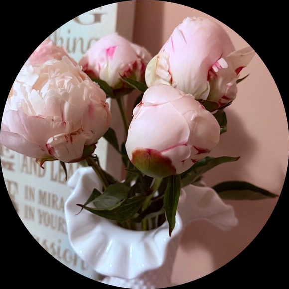 zpeony_9